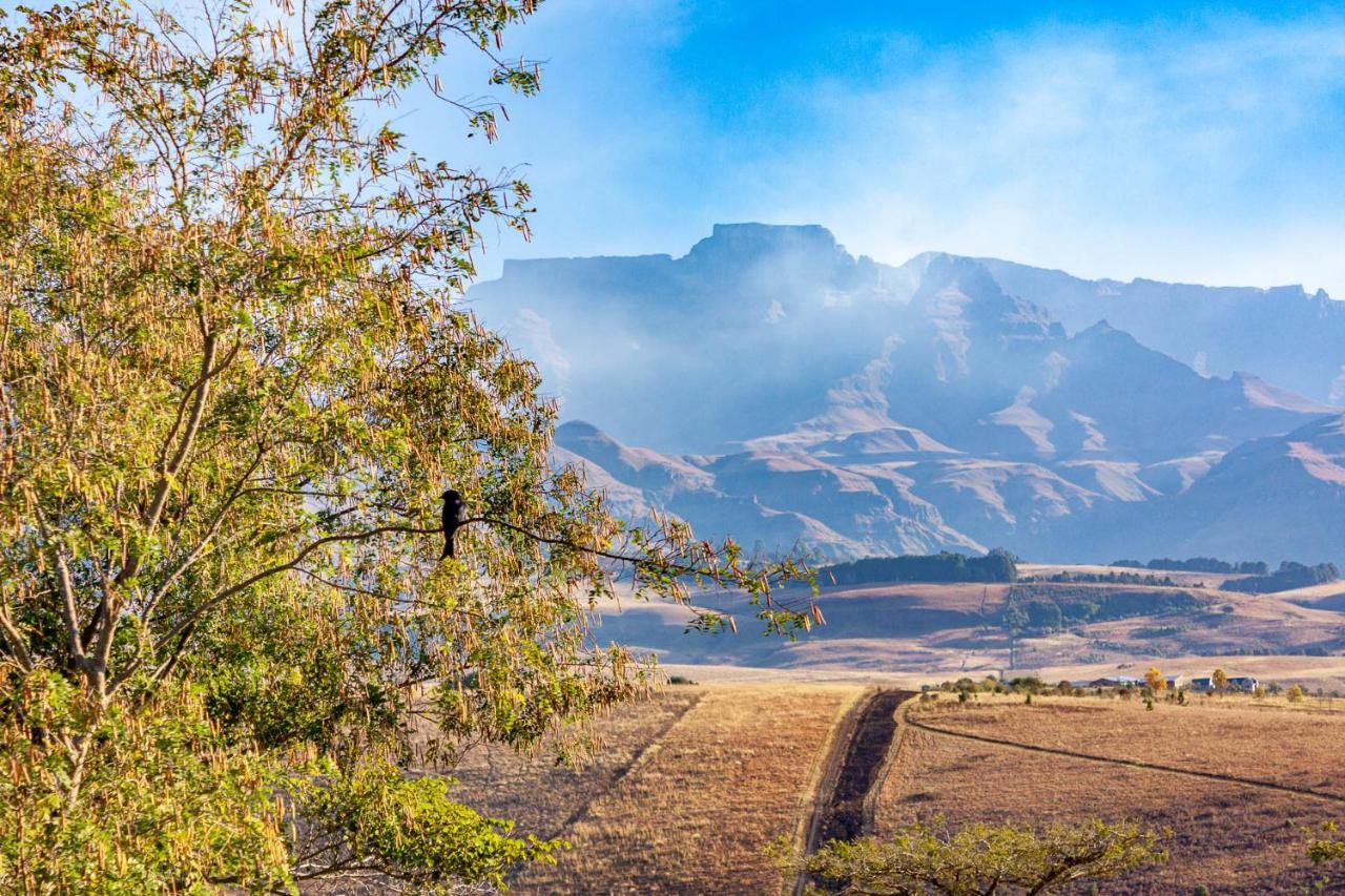 Inkungu Lodge Champagne Valley Bagian luar foto