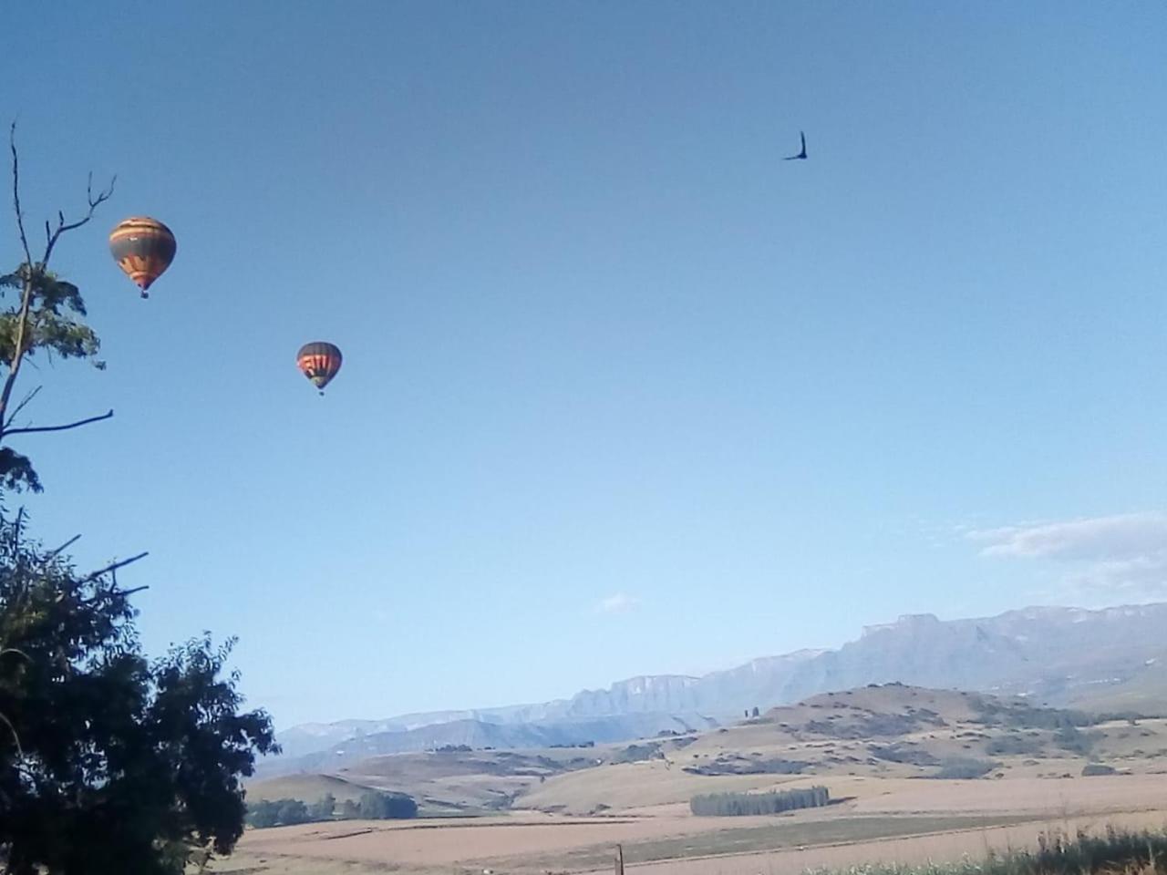 Inkungu Lodge Champagne Valley Bagian luar foto
